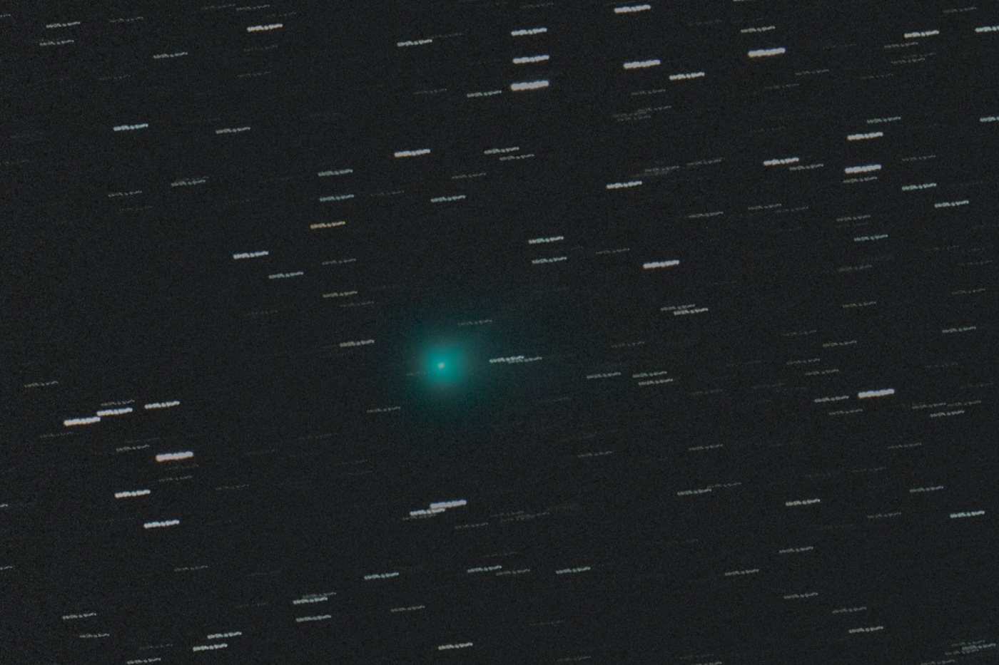 C/2018 V1 (Machholz-Fujikawa-Iwamoto). 16. 11. 2018, 03:58 UT, Hvezdáreň na Vartovke, Newton 250/1000 + GPU Coma Corrector, Canon EOS 6Da, 24 x 30 s, ISO 8000, (≈7,5 mag), autor Marek Harman, Ján Mäsiar